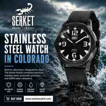 New York, Watches, USD 499,  Why Is The Wraith Collection The Best Stainless Steel Watch In Colorado?