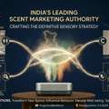 INR 15000,  Premium Aroma Diffuser Machines & Essential Oil Fragrance Solutions
