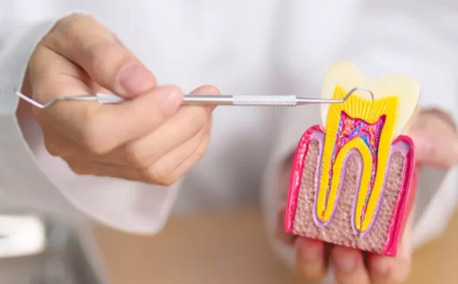 New York, Dental, Family And Cosmetic Dentist In Rosedale &ndash; Call (410) 866-5550