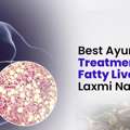 Best Ayurvedic Treatment For Fatty Liver In Laxmi Nagar Delhi