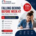 73% Of Australian Students Fall Behind Before Week 4 &ndash; Assignment Help Tips