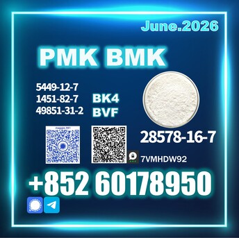 The Hague, Materials, Usd 280,  CAS 28578-16-7 New PM.K B.MK Trusted Service