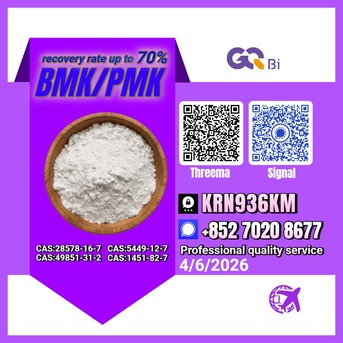 Tirana, Books, ALL 123,  CAS:28578-16-7//CAS:49851-31-2 BMK/PMK Extraction Rate Up To 70%
