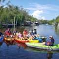 Cherish Your Vacation With Boat Tours Anna Maria Island