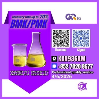 Algiers, Books, DZD 123,  CAS:28578-16-7//BMK/PMK Extraction Rate Up To 70%-CAS:5449-12-7