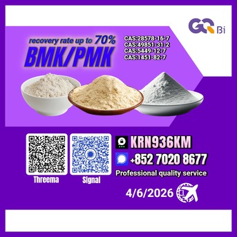 Kabul, Books, AFN 123,  CAS:28578-16-7//CAS:5449-12-7 BMK/PMK Extraction Rate Up To 70%