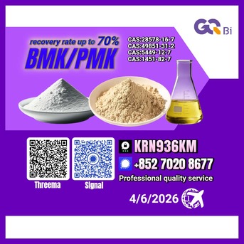 Kabul, Books, AFN 123,  Extraction Rate Up To 70%BMK/PMK CAS:28578-16-7//CAS:5449-12-7