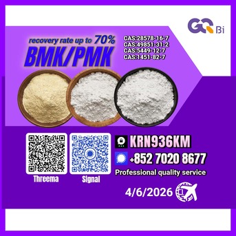 Tirana, Books, ALL 123,  Extraction Rate Up To 70%BMK/PMK CAS:28578-16-7//CAS:49851-31-2