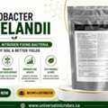 CAD 45,  Low Rice Yield This Season? Use Azotobacter Vinelandii &ndash; Order Today