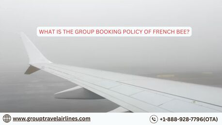 New York, Travel, What Is The Group Booking Policy Of French Bee?