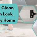 Fresh Floors Start With Carpet Cleaning Chermside