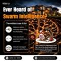 Ever Heard Of Swarm Intelligence?