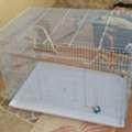 SAR 60,  Metal Portable Cage