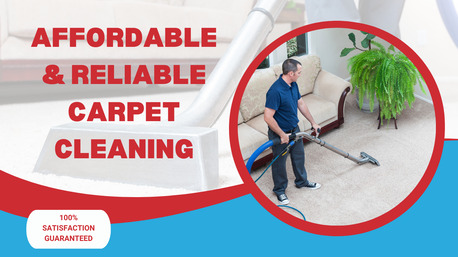 Brisbane, Cleaning, Carpet Cleaning Bulimba &ndash; Freshness You Can See