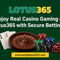 Enjoy Real Casino Gaming On Lotus365 With Secure Betting ID