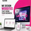 Website Design & Development Company In Pune | Pink Turtle