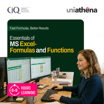 Johannesburg, Lessons Offered, Free Excel Formulas Course Online | UniAthena