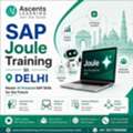 SAP Joule Training In Delhi &ndash; Learn AI-Powered SAP Skills
