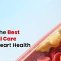 Natural Cholesterol Treatment At Jeena Sikho HiiMS Panchkula