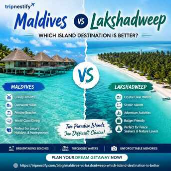 New Delhi, Travel, Maldives Vs Lakshadweep: Which Island Destination Is Better For Your Vacation