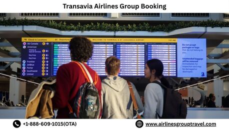 New York, Travel, How To Book Group Travel On Transavia Airlines?