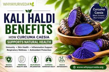 New Delhi, Health, Kali Haldi Benefits: How Curcuma Caesia Supports Natural Health