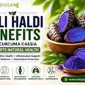 Kali Haldi Benefits: How Curcuma Caesia Supports Natural Health