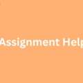 Elevate Your Grades With Expert Law Assignment Help UK