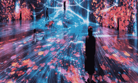 Dubai, Travel, Explore Interactive Art At TeamLab Phenomena Abu Dhabi