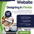 Elite Web Designing In Florida &ndash; Power Marketing International