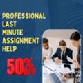 Get 50% Off On Professional Last Minute Assignment Help