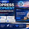 Best WordPress Development Company Washington DC