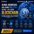 Global Businesses Are Losing Millions In Fees - Fix It With Blockchain Stablecoin Solution