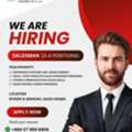 SALES EXECUTIVE