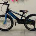 SAR 100,  Cycle 20 Inch Tire Size