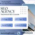 SEO Services In Lahore To Grow Your Business.