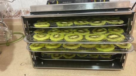 Khobar, Food, SAR 22,  Healthy Dehydrated Kiwi - Food / Snacks - Available