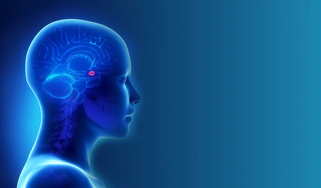 Ahmedabad, Health, Best Neurosurgeon In Gota At Lifeline Multispeciality Hospital
