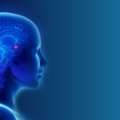 Best Neurosurgeon In Gota At Lifeline Multispeciality Hospital
