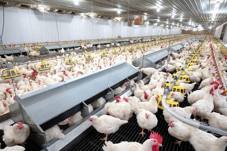 Singapore, Business Partners, Available Funds For Agriculture