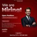 BUSINESS DEVELOPMENT EXECUTIVE
