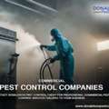 Trusted Commercial Pest Control Companies In Tampa