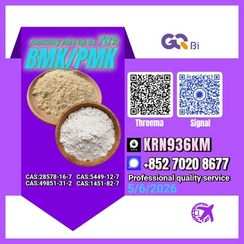 Tirana, Books, ALL 123,  Extraction Rate Up To 70%BMK/PMK CAS:28578-16-7//CAS:5449-12-7