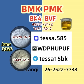 Hong Kong, Wholesale Products, 28578-16-7 PMK 5449-12-7 BMK 1451-82-7  49851-31-2  On-time Delivery