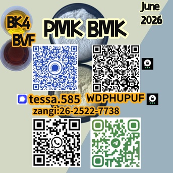 Hong Kong, Wholesale Products, 28578-16-7 PMK 5449-12-7 BMK 1451-82-7  49851-31-2  On-time Delivery