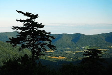 New York, Health, Professional Medical Detox Albany Services For A Safe Recovery Journey