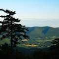 Professional Medical Detox Albany Services For A Safe Recovery Journey