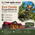 Red Panda Expedition In Singalila National Park