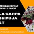 Kala Sarpa Dosh Puja Cost And Remedies In Trimbakeshwar Temple