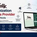 Best Tally Customization Services Provider In Noida
